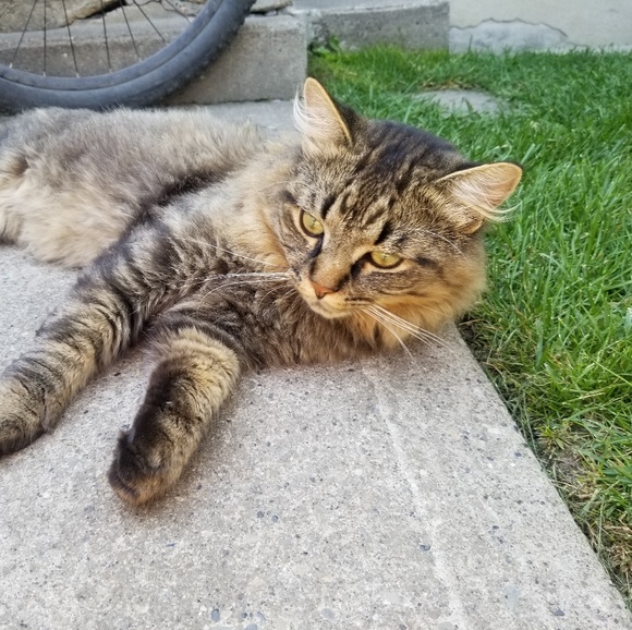 Meet your Posher, Emily - Picture 1 of 1